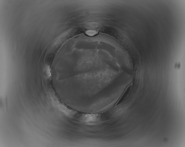X0000114110089200910051524