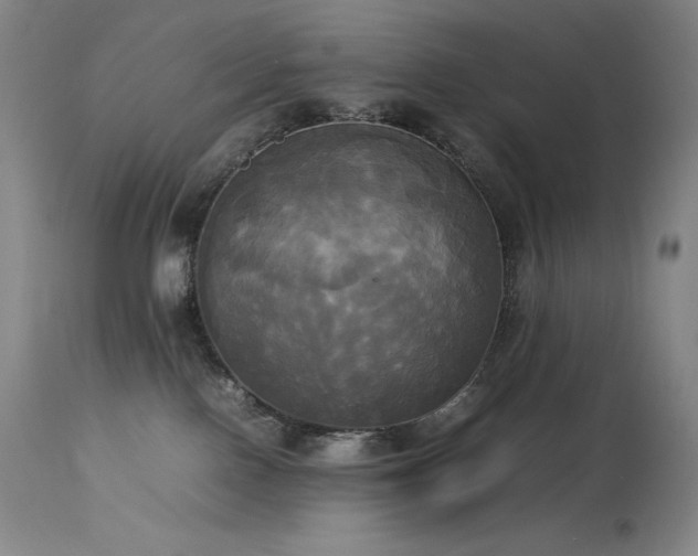 X0000114110090200910051524
