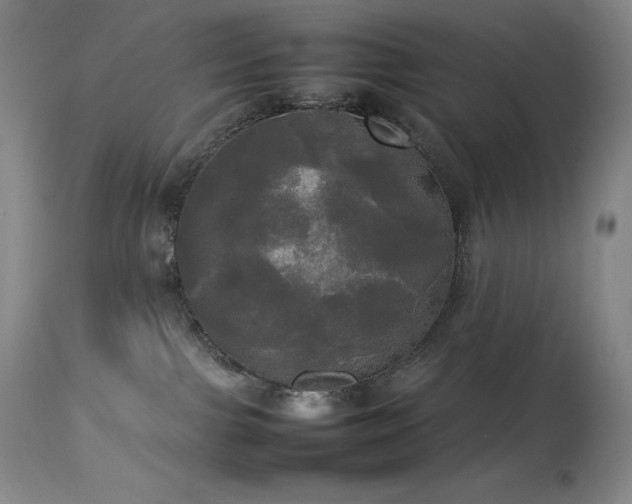 X0000114110091200910051524