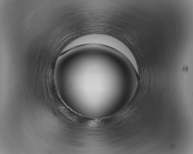 X0000114110092200910051524