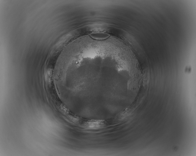 X0000114110093200910051524