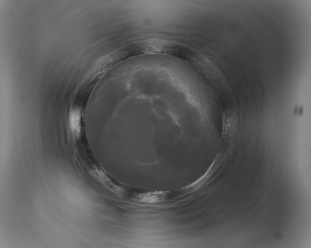 X0000114110094200910051524
