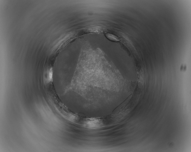 X0000114110095200910051524