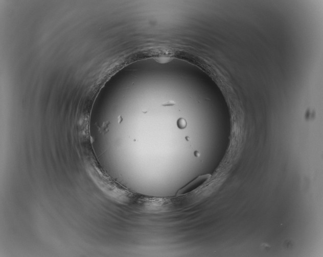 X0000114110096200910051524