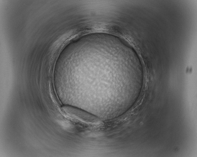 X0000114110097200910051523