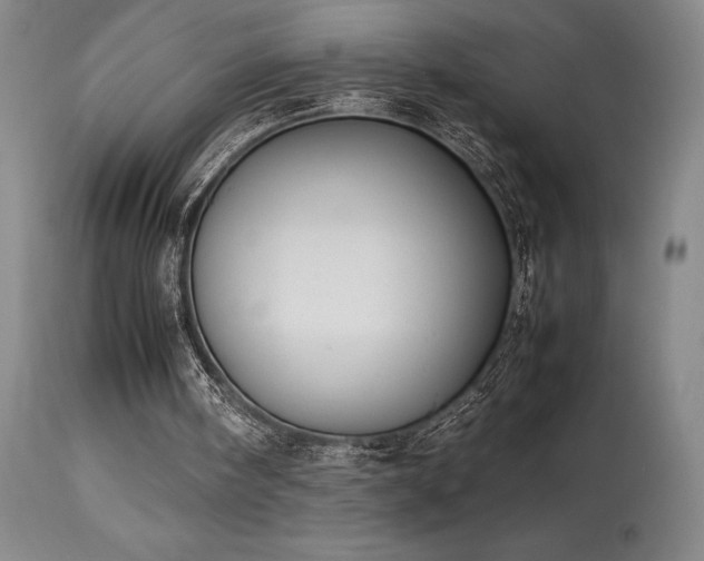 X0000114110098200910051523