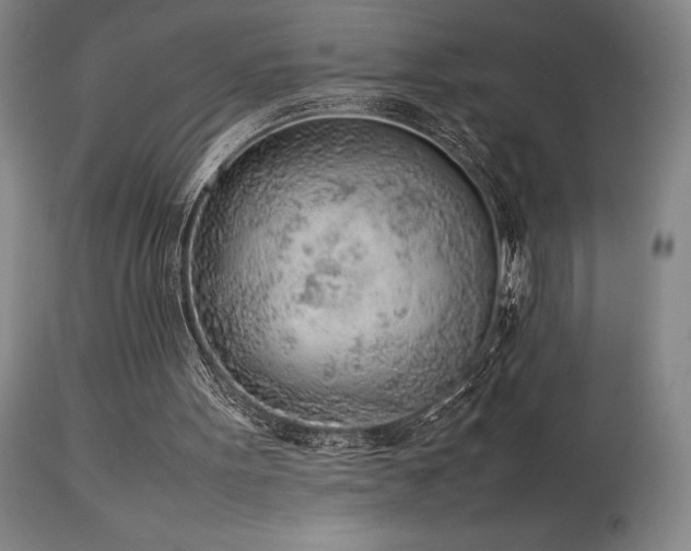 X0000114110099200910051523