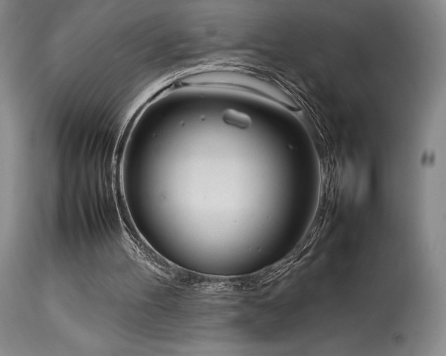 X0000114110100200910051523