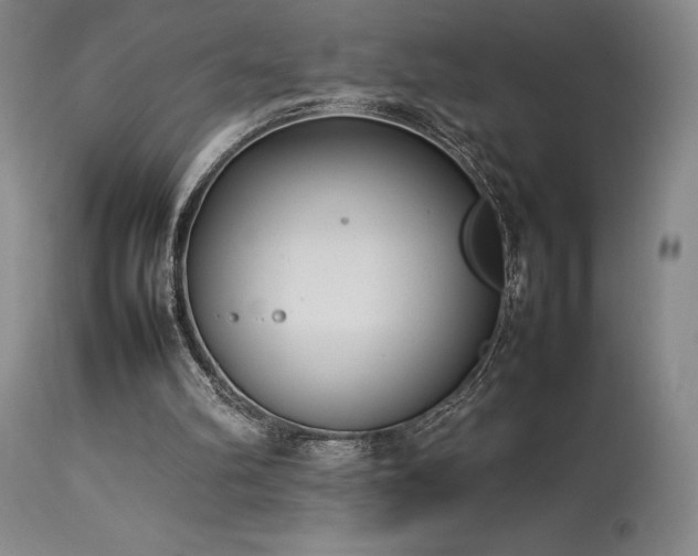X0000114110102200910051523