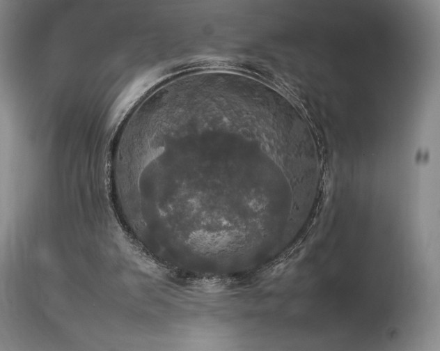 X0000114110103200910051523