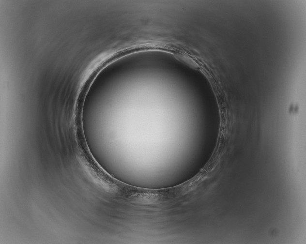 X0000114110104200910051523