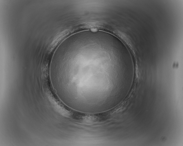 X0000114110105200910051523