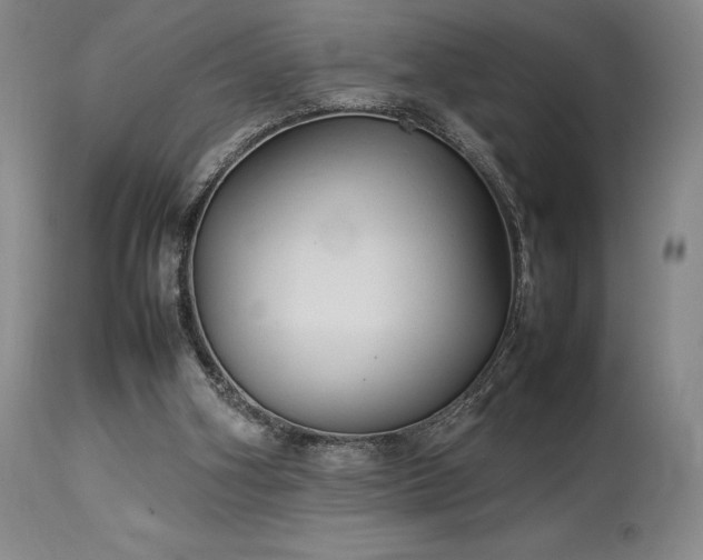 X0000114110106200910051523