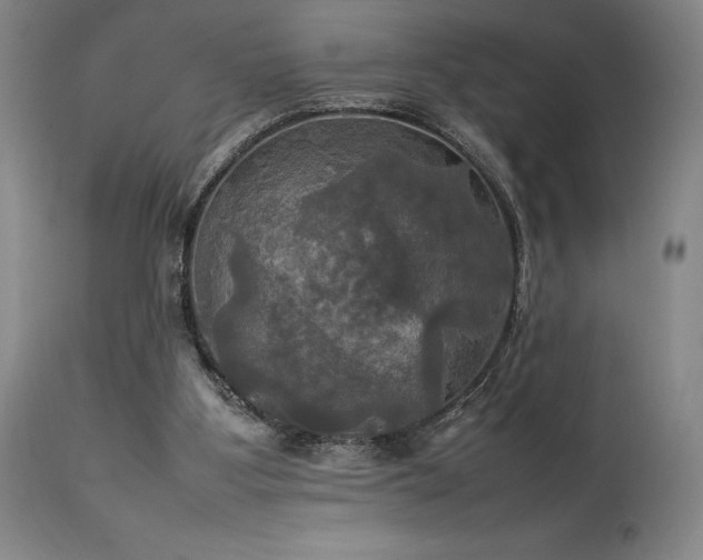 X0000114110107200910051523