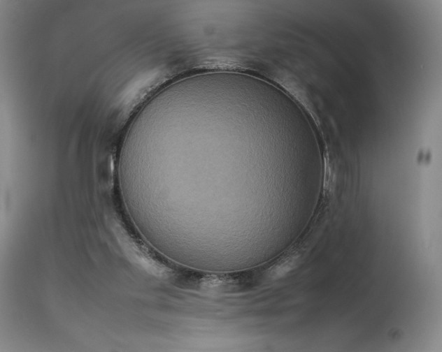 X0000114110109200910051523