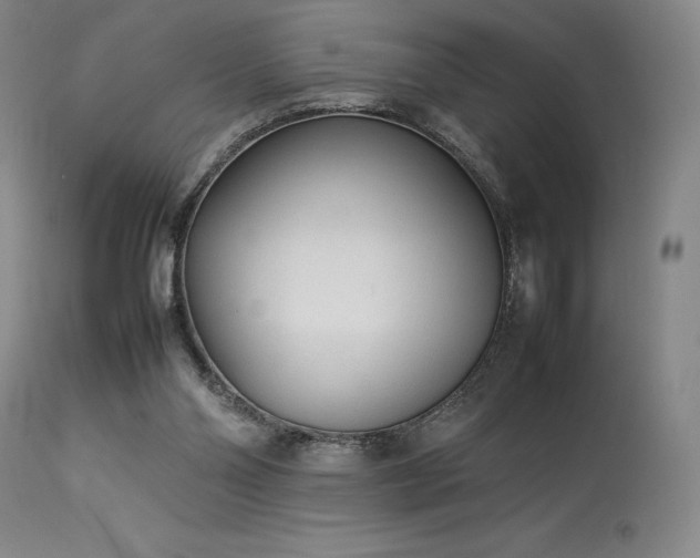 X0000114110110200910051523