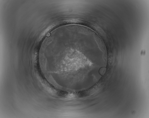 X0000114110111200910051523