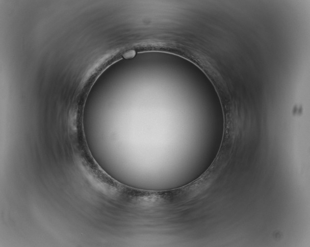 X0000114110112200910051523