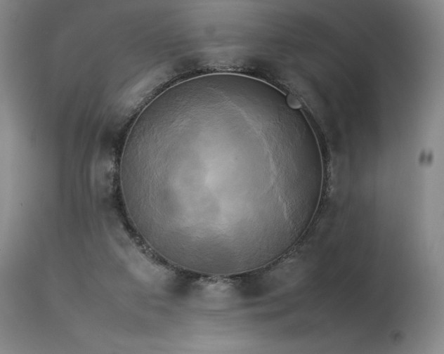 X0000114110113200910051523