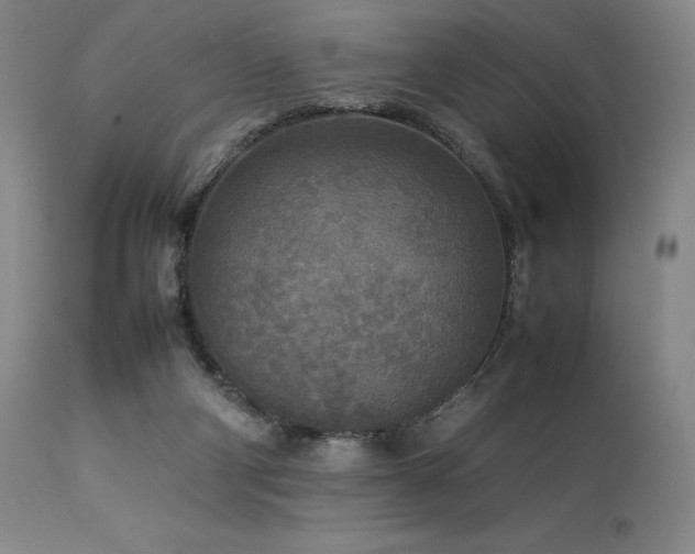 X0000114110114200910051523