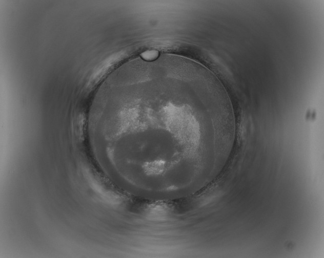 X0000114110115200910051523