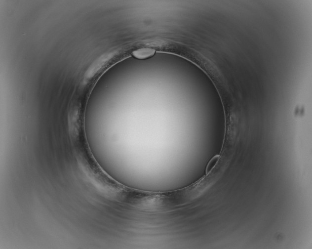 X0000114110116200910051523