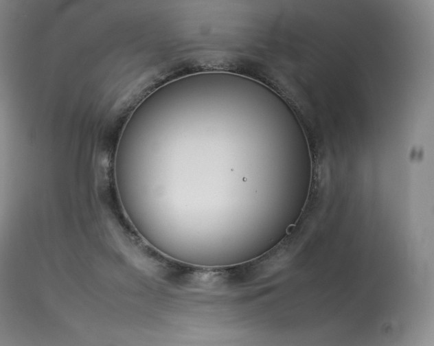 X0000114110117200910051523