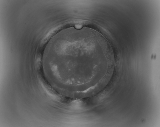 X0000114110119200910051523