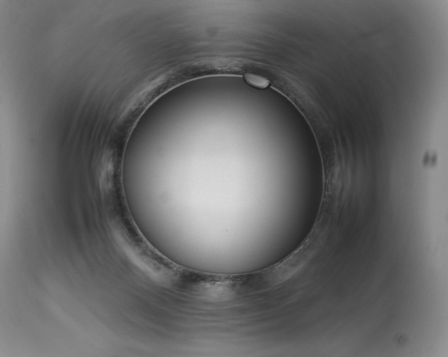X0000114110120200910051523