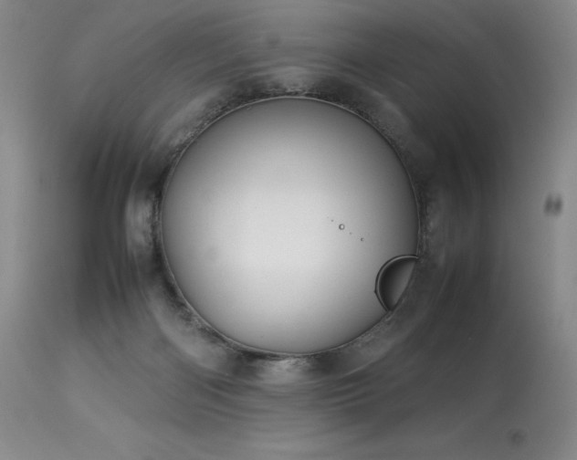 X0000114110122200910051523