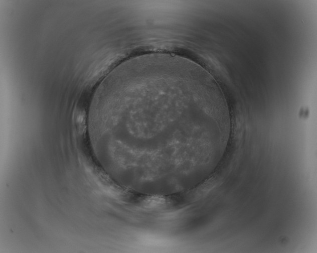 X0000114110123200910051523