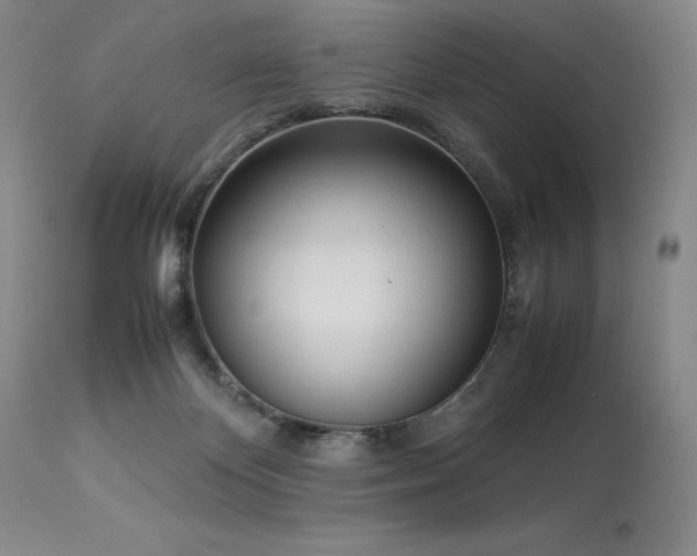 X0000114110124200910051523