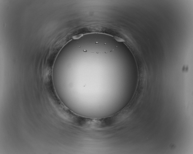 X0000114110125200910051523
