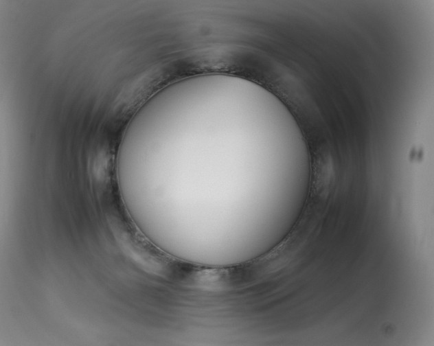 X0000114110126200910051523