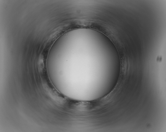 X0000114110128200910051523