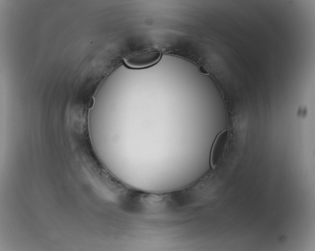 X0000114110129200910051523