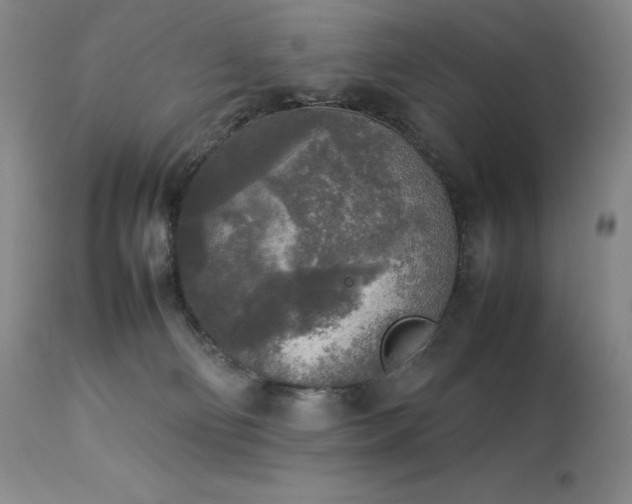 X0000114110130200910051523