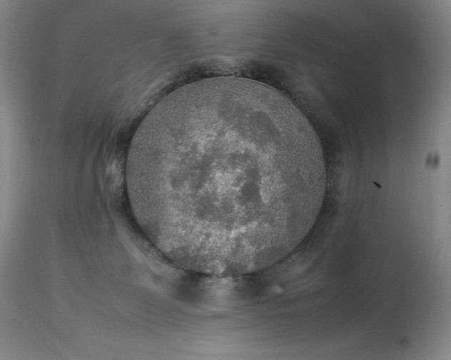 X0000114110131200910051523
