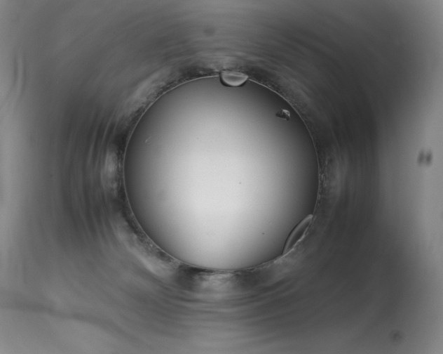 X0000114110132200910051522