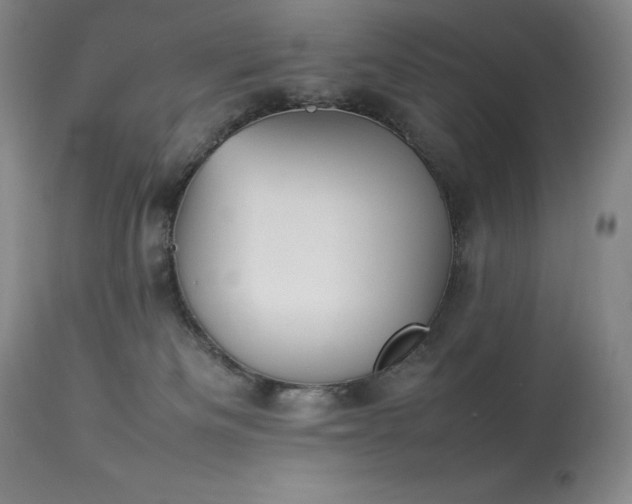 X0000114110133200910051522
