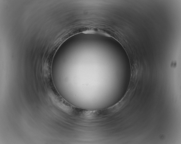 X0000114110136200910051522