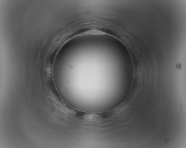 X0000114110137200910051522