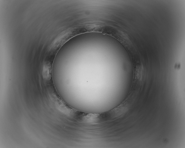 X0000114110138200910051522