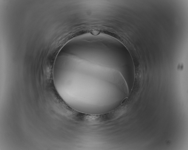 X0000114110139200910051522
