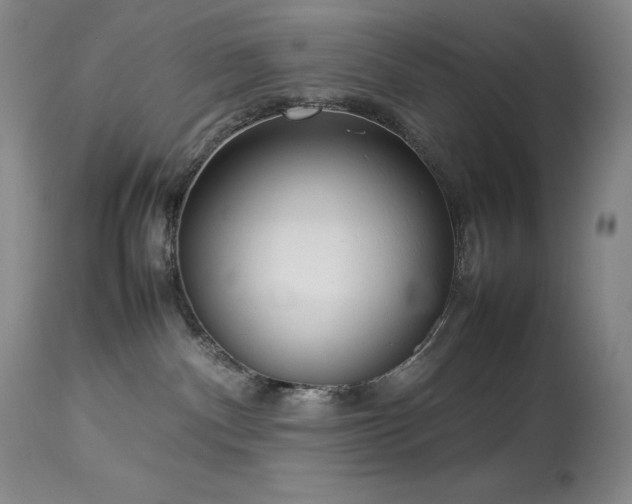 X0000114110140200910051522