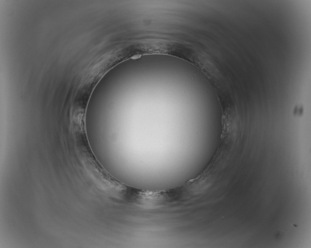 X0000114110141200910051522