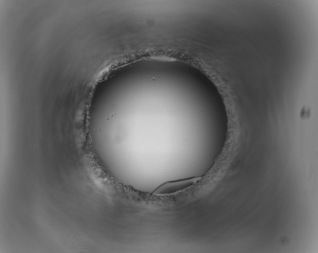 X0000114110144200910051522