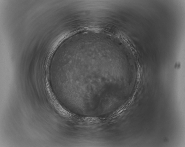X0000114110145200910051522