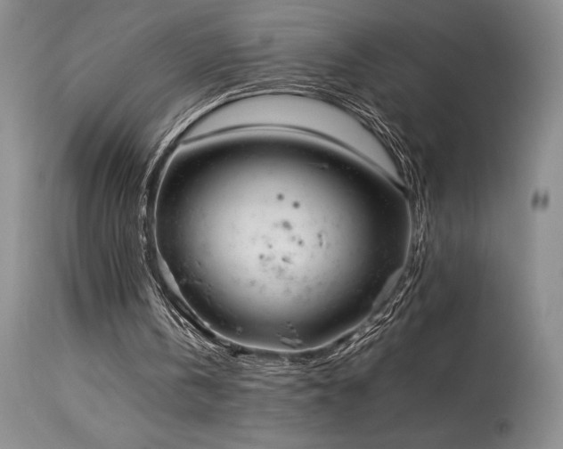 X0000114110146200910051522