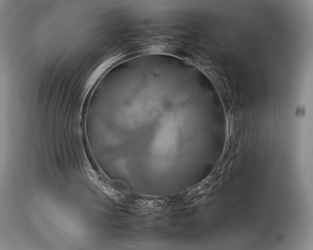X0000114110147200910051522